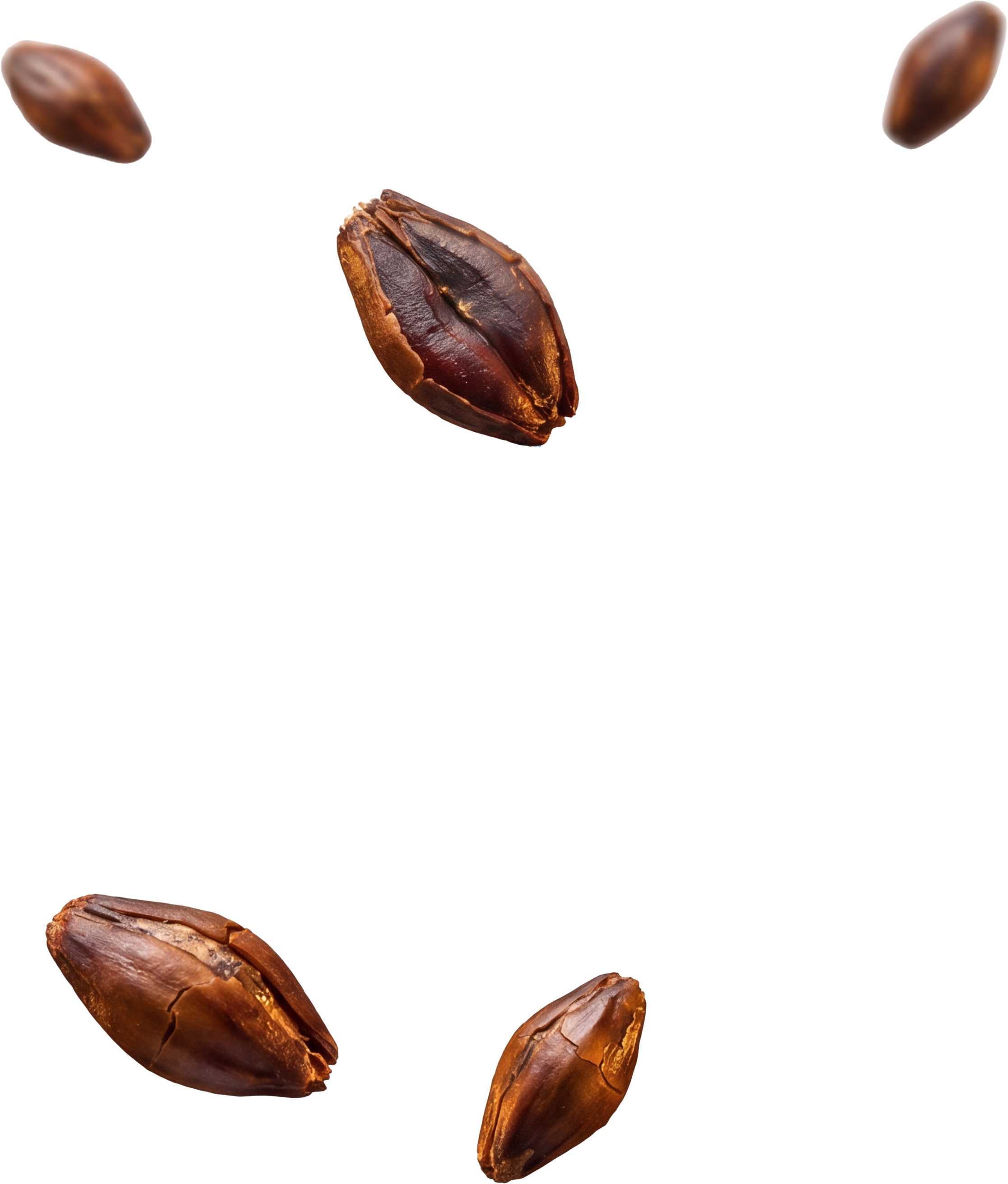 add-on-Black Malt Beverage-1