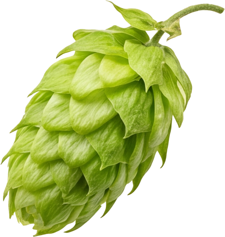 add-on-Black Malt Beverage -2