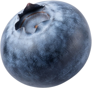add-on-Blue Berry Soft Drink-3