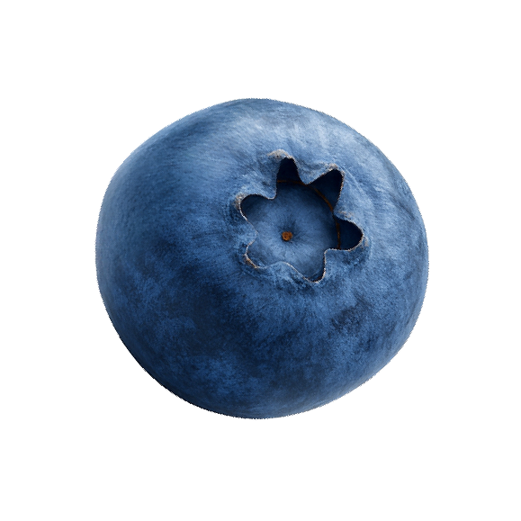 add-on-Blueberry Soft Drink-0