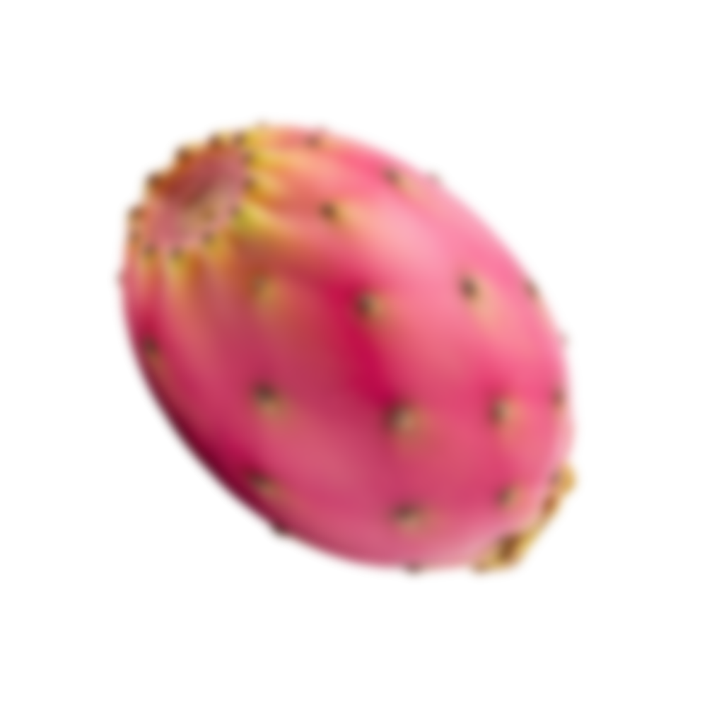 add-on-Cactus Soft Drink-1