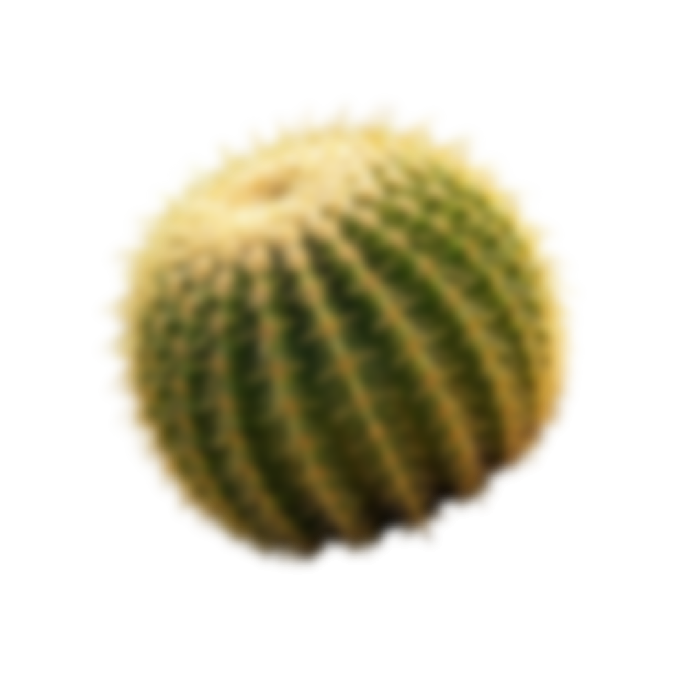 add-on-Cactus Soft Drink-0
