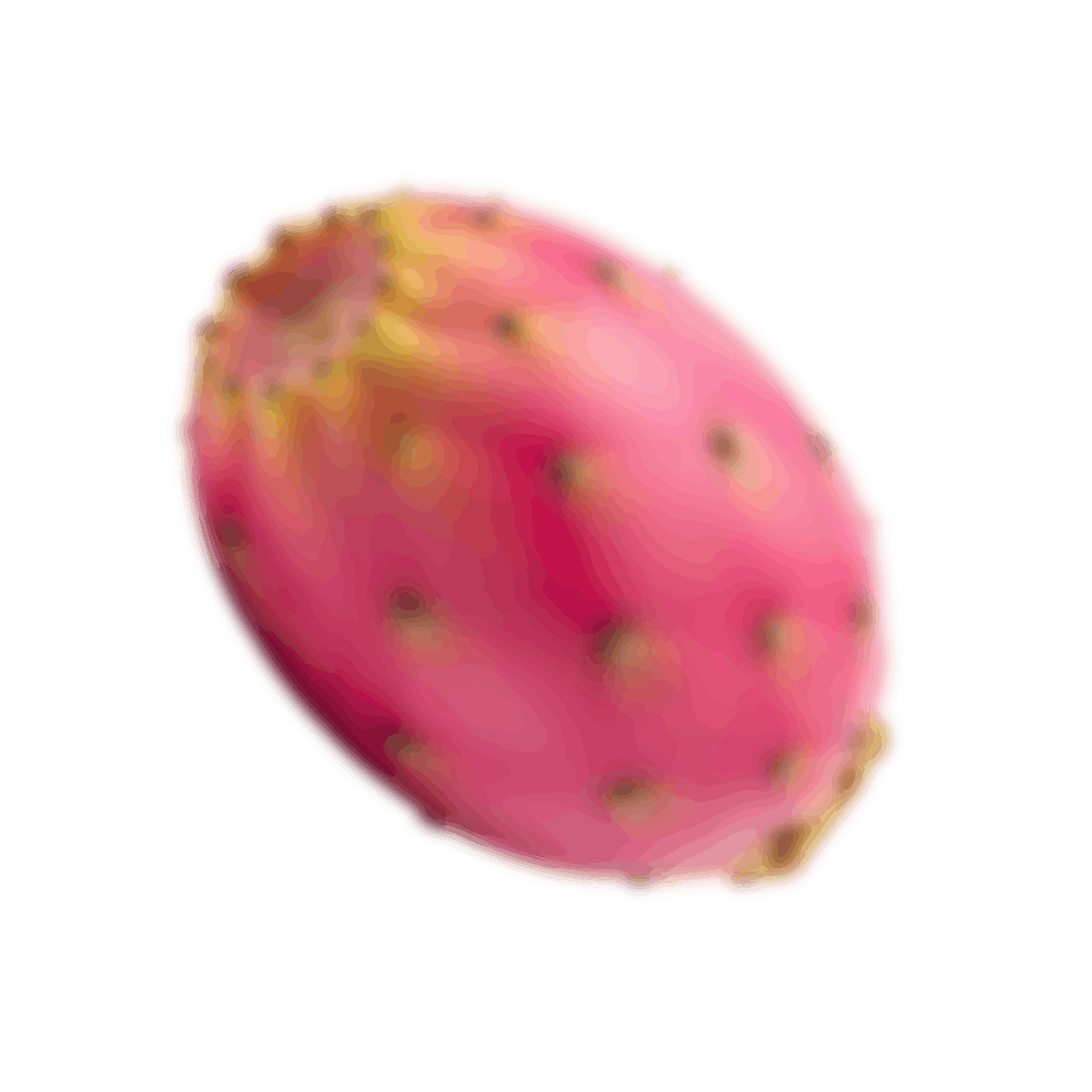 add-on-Cactus Soft Drink-0