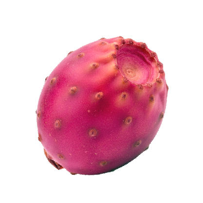 add-on-Cactus Soft Drink-2