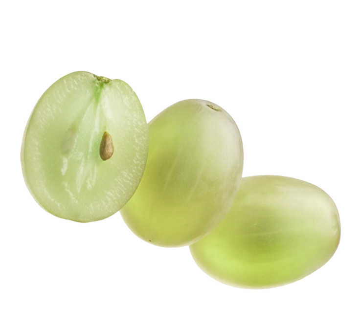 add-on-Chardonnay Sparling Water-2