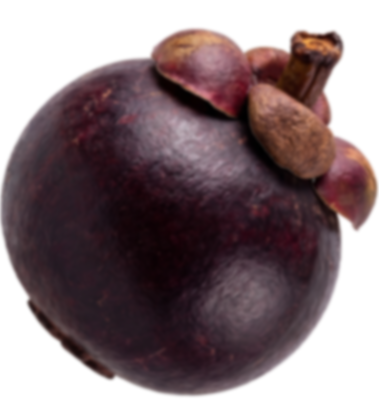 add-on-Mangosteen Soft Drink-2