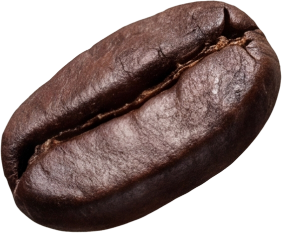 add-on-ماءالشعیر گازدار موکا-0