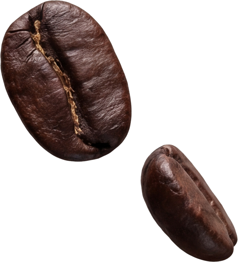 add-on-ماءالشعیر گازدار موکا-1