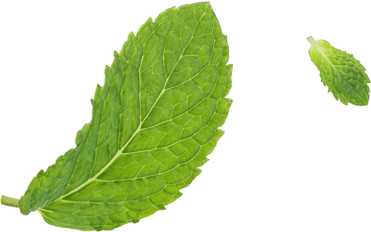 add-on-Mojito Soft Drink-1
