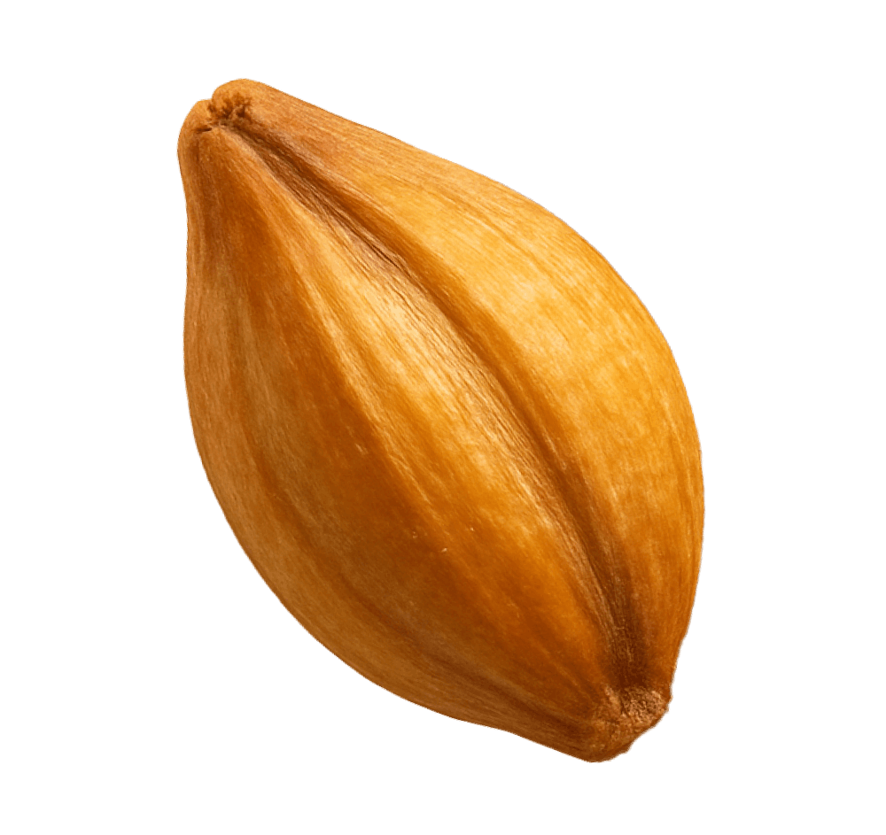 add-on-ماءالشعیر گازدار استرانگ-0
