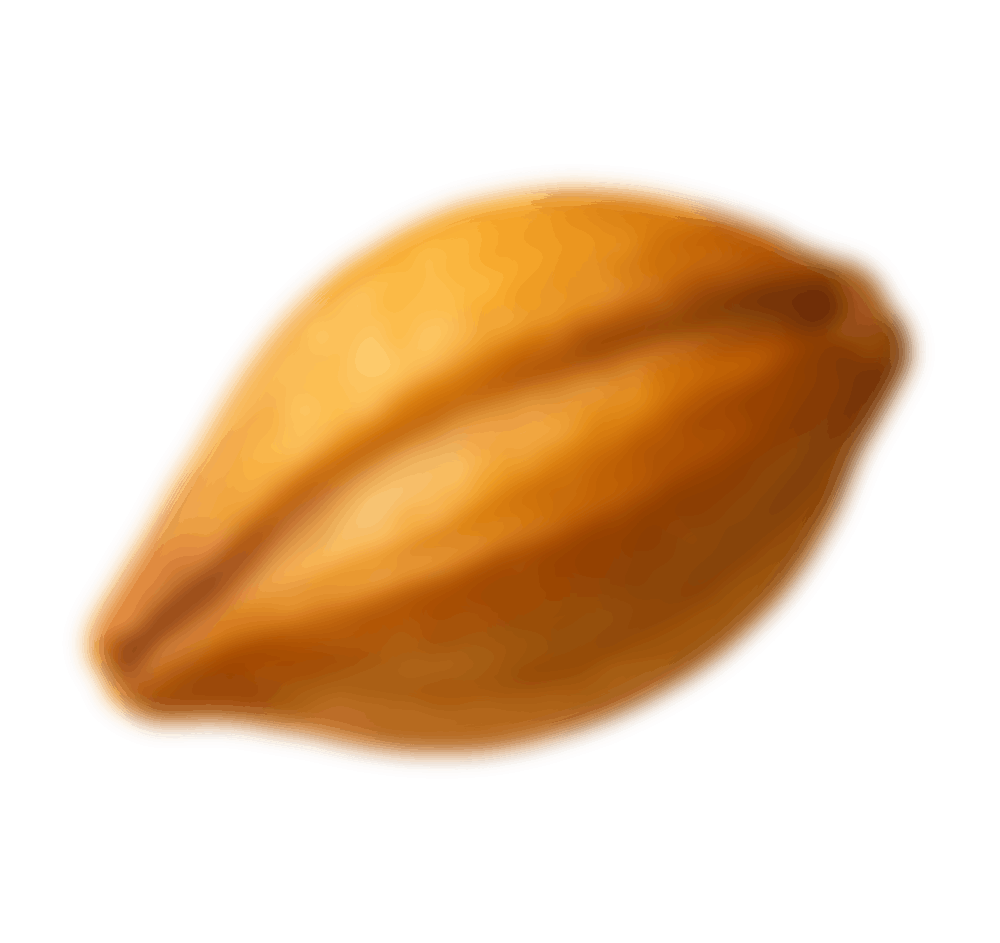 add-on-ماءالشعیر گازدار استرانگ-4