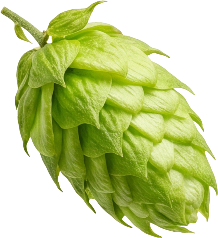 add-on-ماءالشعیر گازدار استرانگ-1