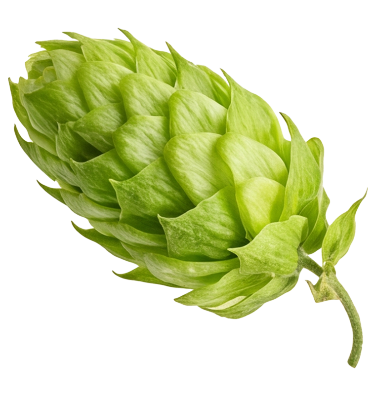 add-on-ماءالشعیر گازدار استرانگ-3