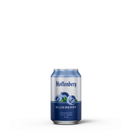 Blueberry Soft Drink 330 CC